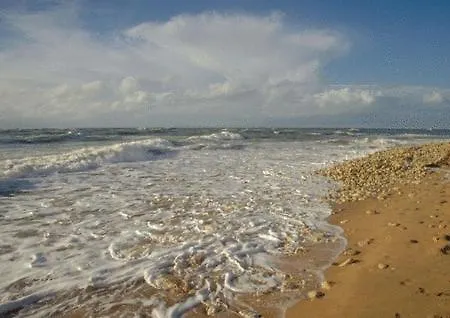 L'oceane Hotel La Cotinière